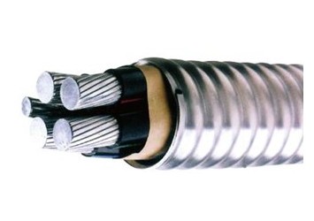 ZB-YJHLV62 铠装+PVC护套电缆